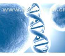 基因检测机构热卖促销 科技赋能健康新篇章