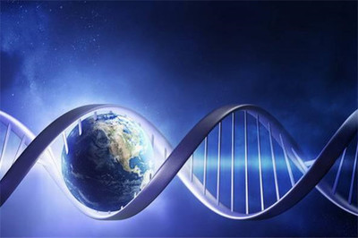 解码生命密码 DNA基因检测科技的革新与未来