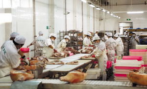 哈尔滨为食品注入科技基因 构建食药安全档案，打造“舌尖上的防火墙”