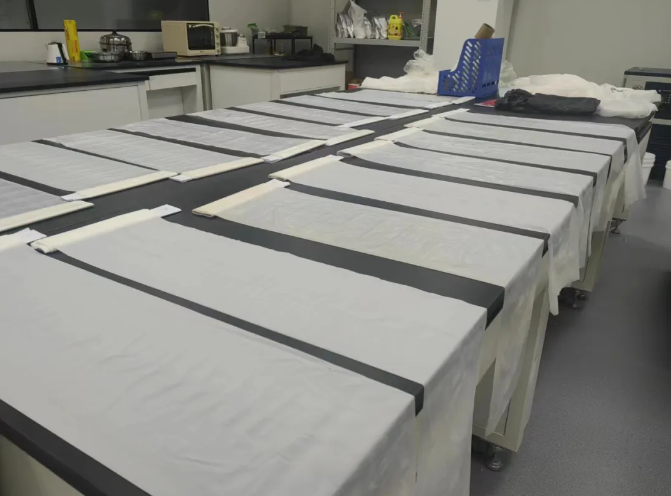 江苏南通:细胞里建工厂?马铃薯变身&ldquo;打工人&rdquo;?探秘智能生物制造产业&ldquo;奇幻世界&rdquo;